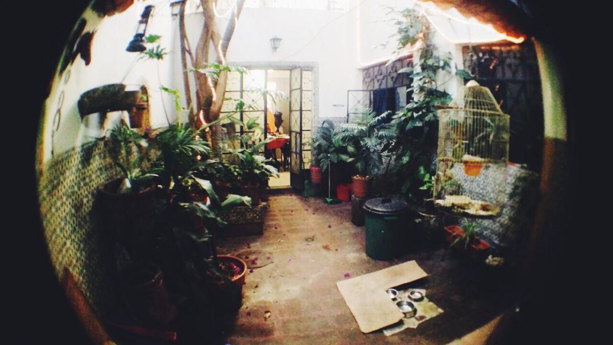 Barrio Analco guadalajara Enrique Alfaro